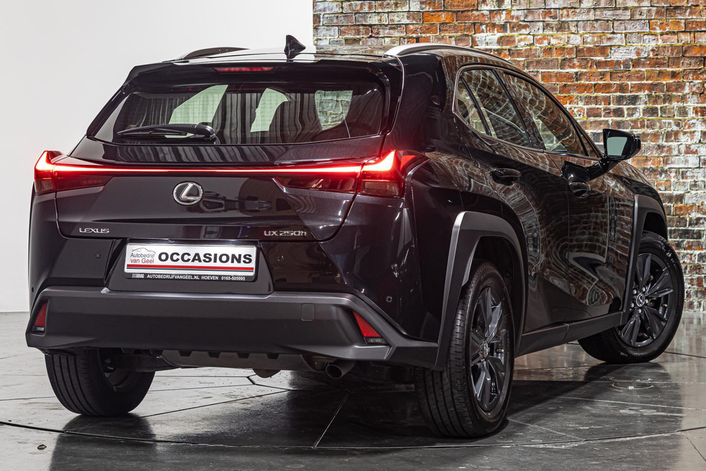 Lexus UX 250h Urban Line I Stuur&Stoel verwarming I Rijklaarprijs 44799541-1.jpg | Autobedrijf van Geel