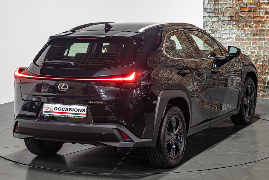 Lexus UX 250h Urban Line I Stuur&Stoel verwarming I Rijklaarprijs 44799541-22.jpg | Autobedrijf van Geel