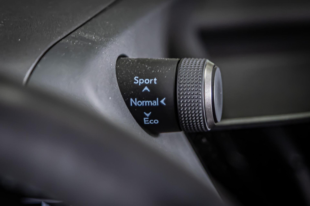 Lexus UX 250h Urban Line I Stuur&Stoel verwarming I Rijklaarprijs 44799541-31.jpg | Autobedrijf van Geel