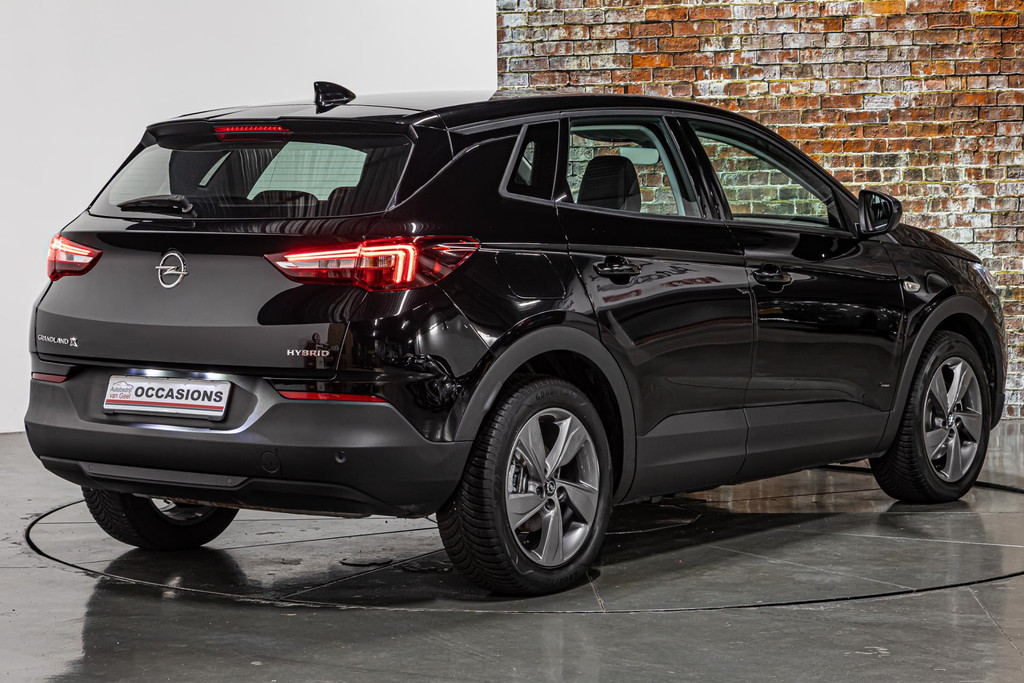 Opel Grandland X 1.6 Turbo Hybrid Elegance 50204223-12.jpg | Autobedrijf van Geel