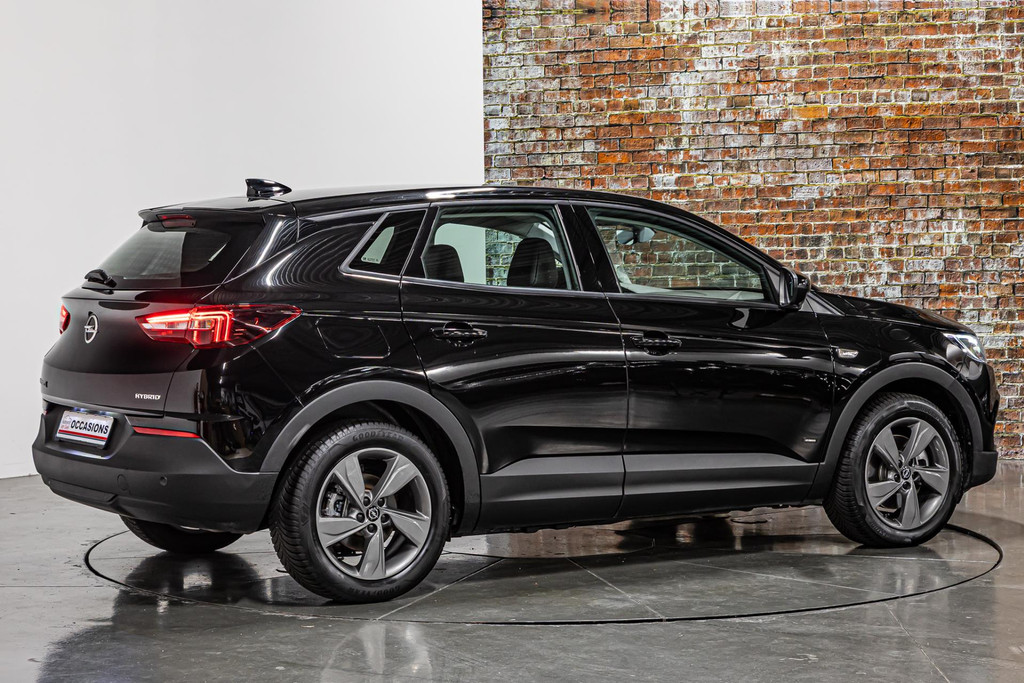 Opel Grandland X 1.6 Turbo Hybrid Elegance 50204223-13.jpg | Autobedrijf van Geel