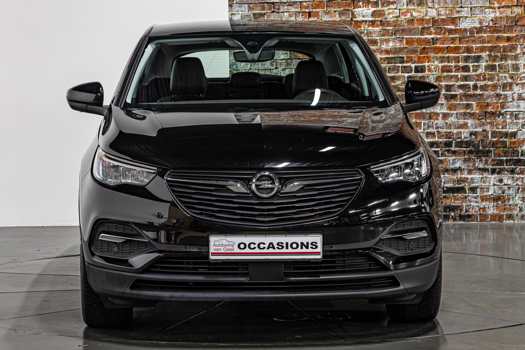 Opel Grandland X 1.6 Turbo Hybrid Elegance 50204223-19.jpg | Autobedrijf van Geel