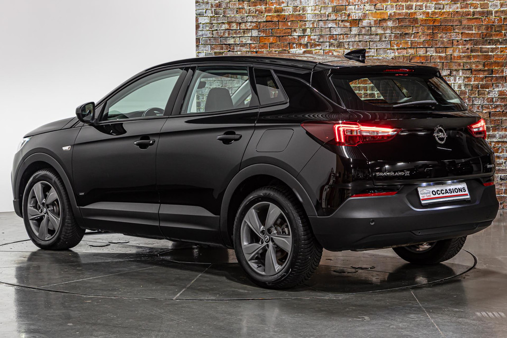 Opel Grandland X 1.6 Turbo Hybrid Elegance 50204223-52.jpg | Autobedrijf van Geel