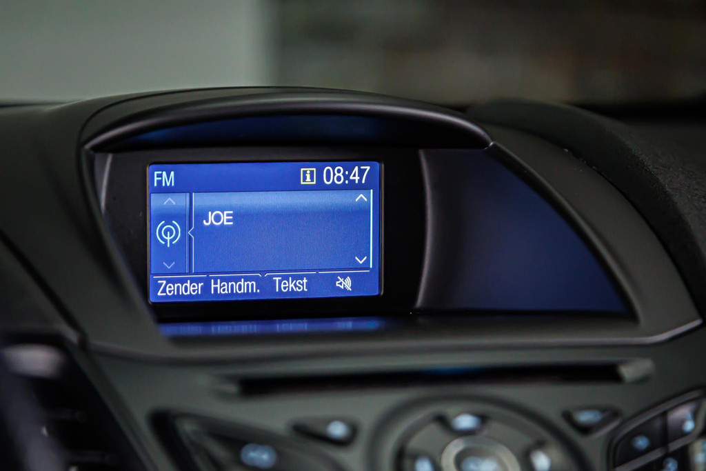 Ford Fiesta 1.0 EcoBoost Titanium X I Stoelverwarming I Rijklaarprijs 53615362-24.jpg | Autobedrijf van Geel