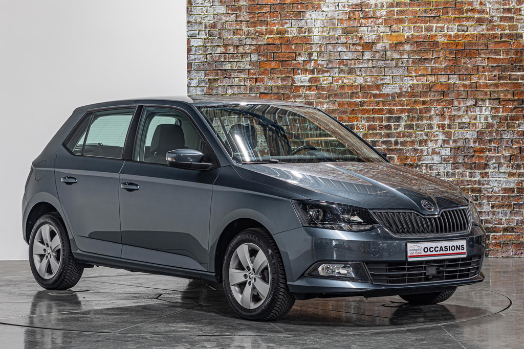 Škoda Fabia 1.2 TSI Monte Carlo I Airco I Cruise controle I Rijklaarprijs 54409293-18.jpg | Autobedrijf van Geel